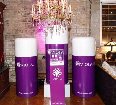SOURCE - EXCLUSIVE: AL HARRINGTON AND ERICKA PITTMAN TALK VIOLA BRANDS BRINGING CANNABIS TO ALL-STAR WEEKEND AND COMPANY EXPANSION