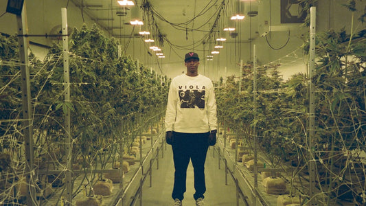 SPORTS ILLUSTRATED - Al Harrington and the Fight for Cannabis Use in the NBA