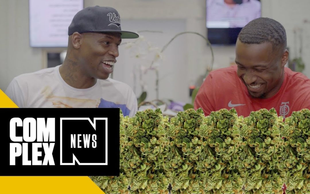 COMPLEX NEWS Viola Brands